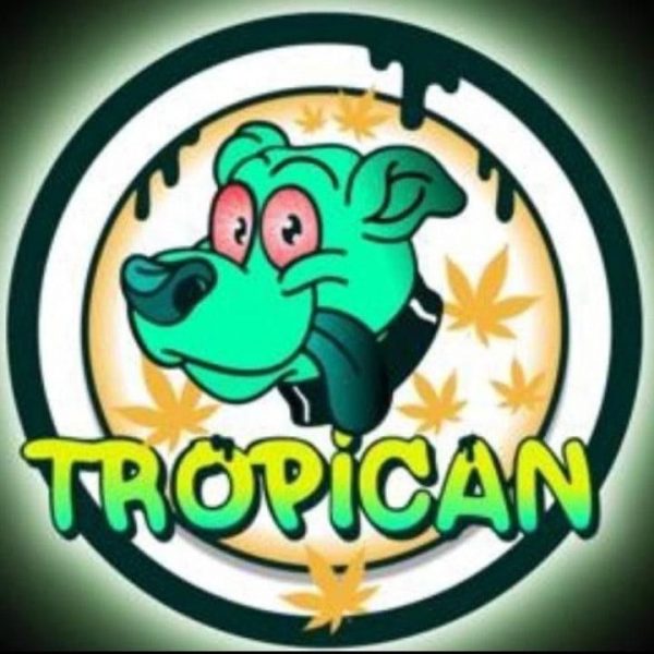 Tropican csc