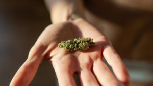 Is weed legal in valencia?